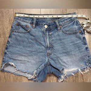 American Eagle Outfitters Light Blue Denim Jeans with Button Fly